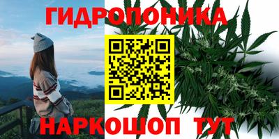 дурь Севастополь