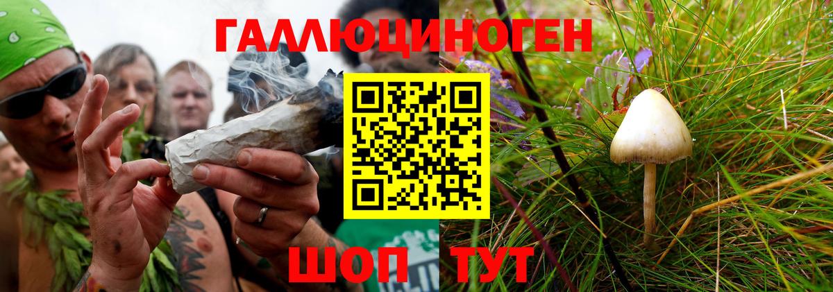Галлюциногенные грибы Psilocybine cubensis  дарнет шоп  Острогожск  Вход с VPN 